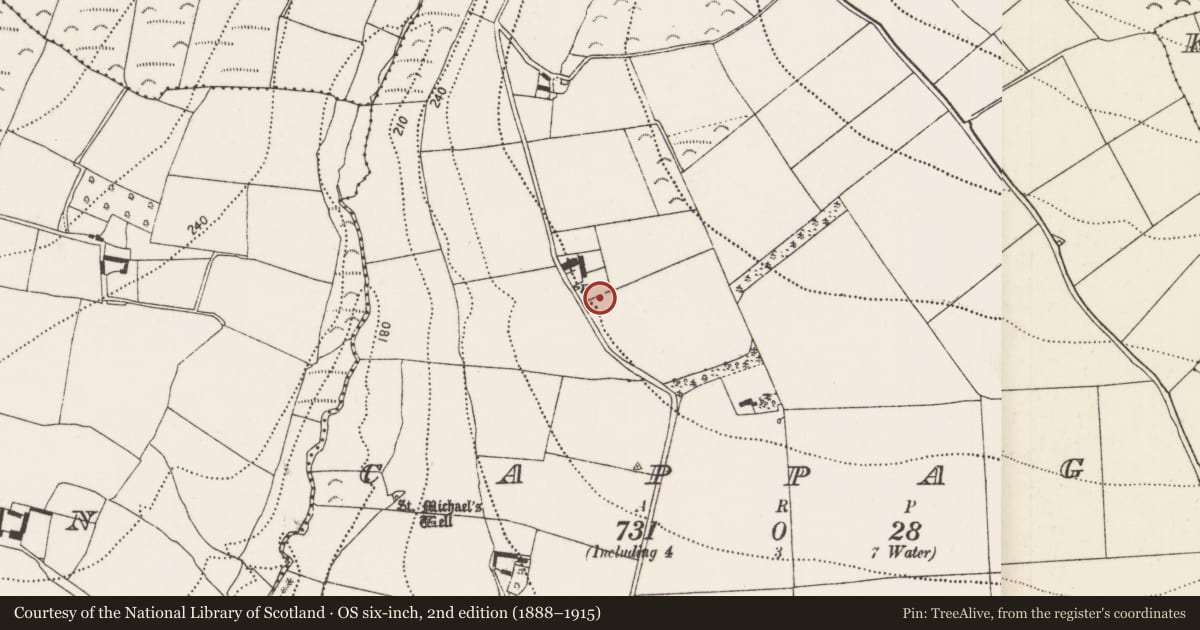 Ordnance Survey six-inch map, 2nd edition (1888–1915) covering the location of Enclosure, Cappagh, County Kilkenny, with a pin at the register's coordinates