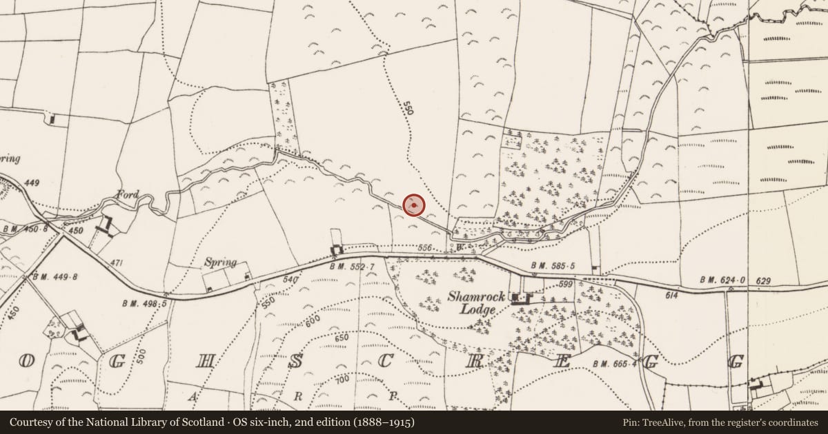 Ordnance Survey six-inch map, 2nd edition (1888–1915) covering the location of Fulacht fia, Cloghscregg, County Kilkenny, with a pin at the register's coordinates