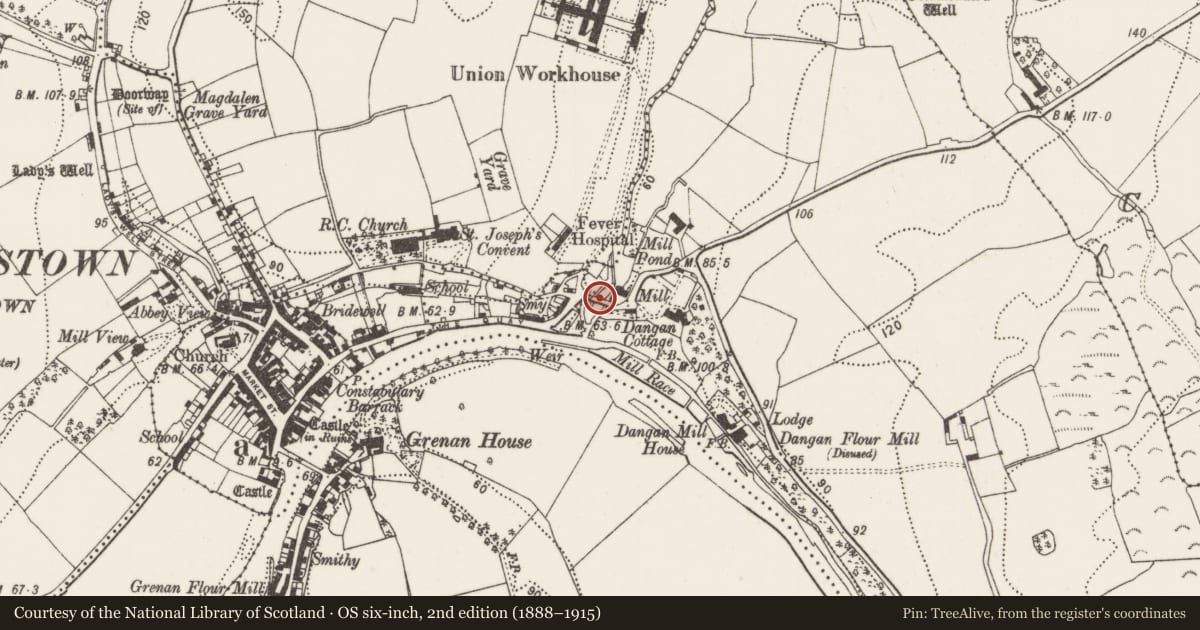 Ordnance Survey six-inch map, 2nd edition (1888–1915) covering the location of Bridge, Dangan, County Kilkenny, with a pin at the register's coordinates
