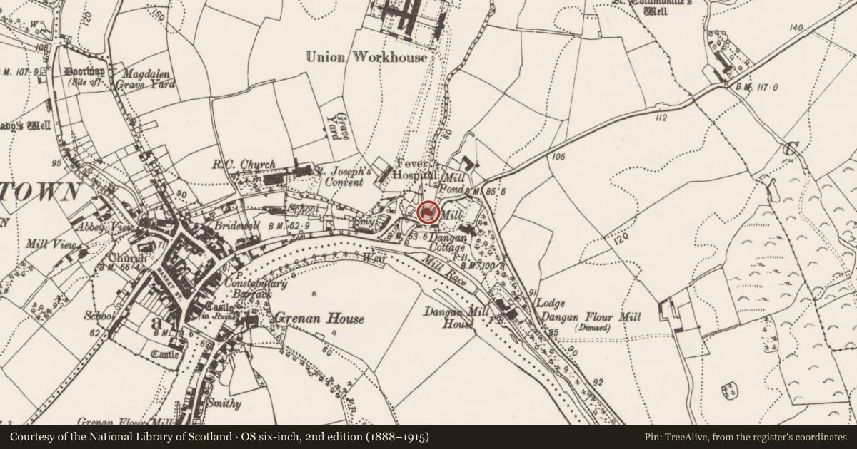 Ordnance Survey six-inch map, 2nd edition (1888–1915) covering the location of Water mill - unclassified, Dangan, County Kilkenny, with a pin at the register's coordinates