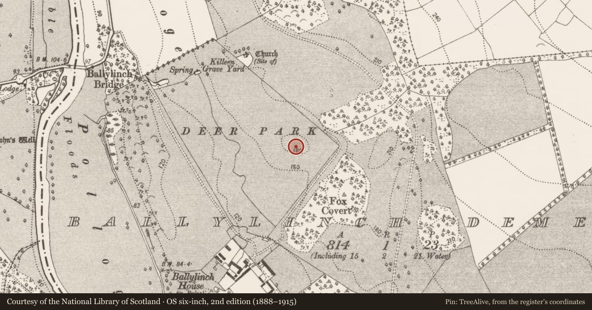 Ordnance Survey six-inch map, 2nd edition (1888–1915) covering the location of Enclosure, Ballylinch Demesne, County Kilkenny, with a pin at the register's coordinates