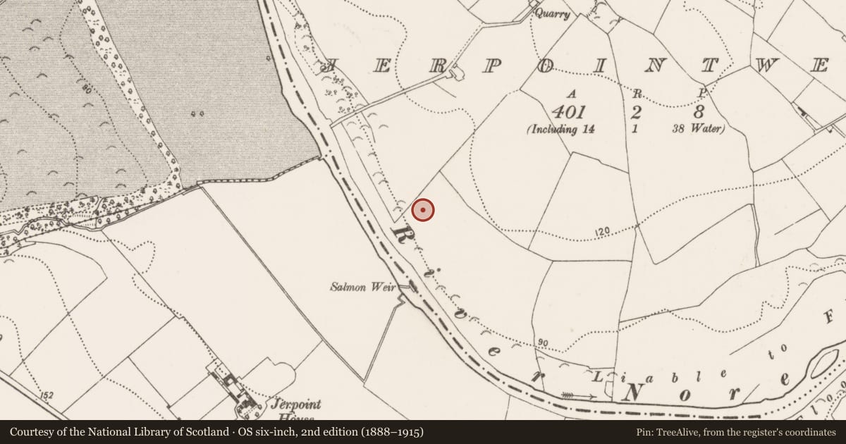 Ordnance Survey six-inch map, 2nd edition (1888–1915) covering the location of Souterrain, Jerpoint West, County Kilkenny, with a pin at the register's coordinates