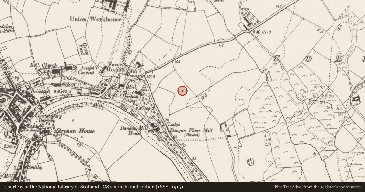 Ordnance Survey six-inch map, 2nd edition (1888–1915) covering the location of Excavation - miscellaneous, Dangan, County Kilkenny, with a pin at the register's coordinates