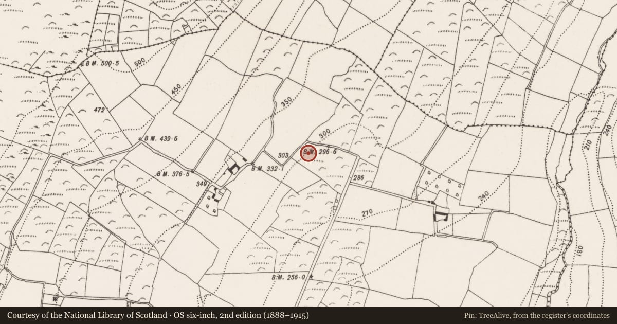 Ordnance Survey six-inch map, 2nd edition (1888–1915) covering the location of Standing stone, Kilcullen, County Kilkenny, with a pin at the register's coordinates
