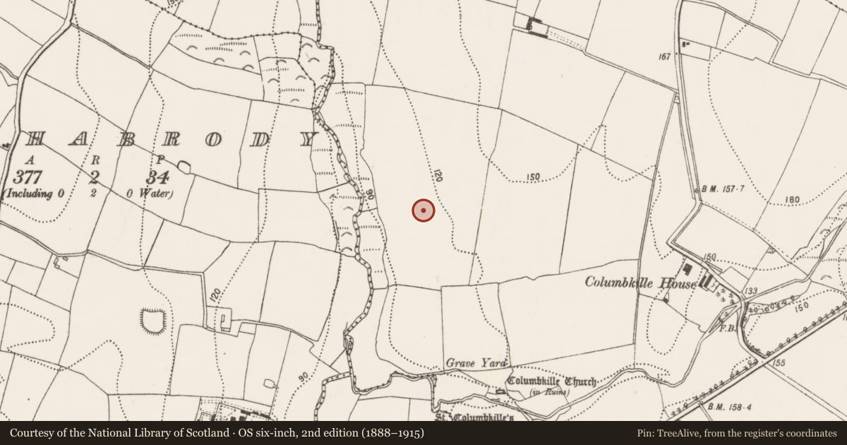 Ordnance Survey six-inch map, 2nd edition (1888–1915) covering the location of Concentric enclosure, Columbkille, County Kilkenny, with a pin at the register's coordinates