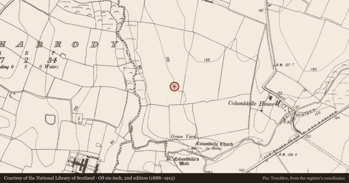 Ordnance Survey six-inch map, 2nd edition (1888–1915) covering the location of Ring-ditch, Columbkille, County Kilkenny, with a pin at the register's coordinates