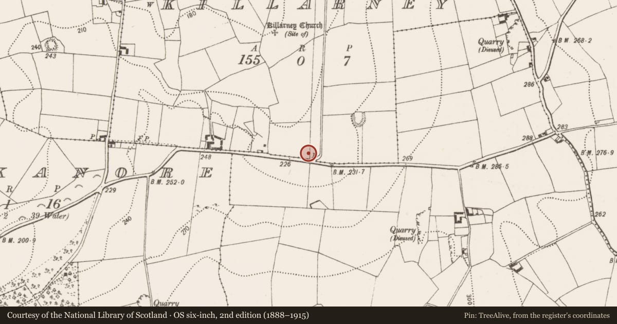 Ordnance Survey six-inch map, 2nd edition (1888–1915) covering the location of Dovecote, Killarney, County Kilkenny, with a pin at the register's coordinates