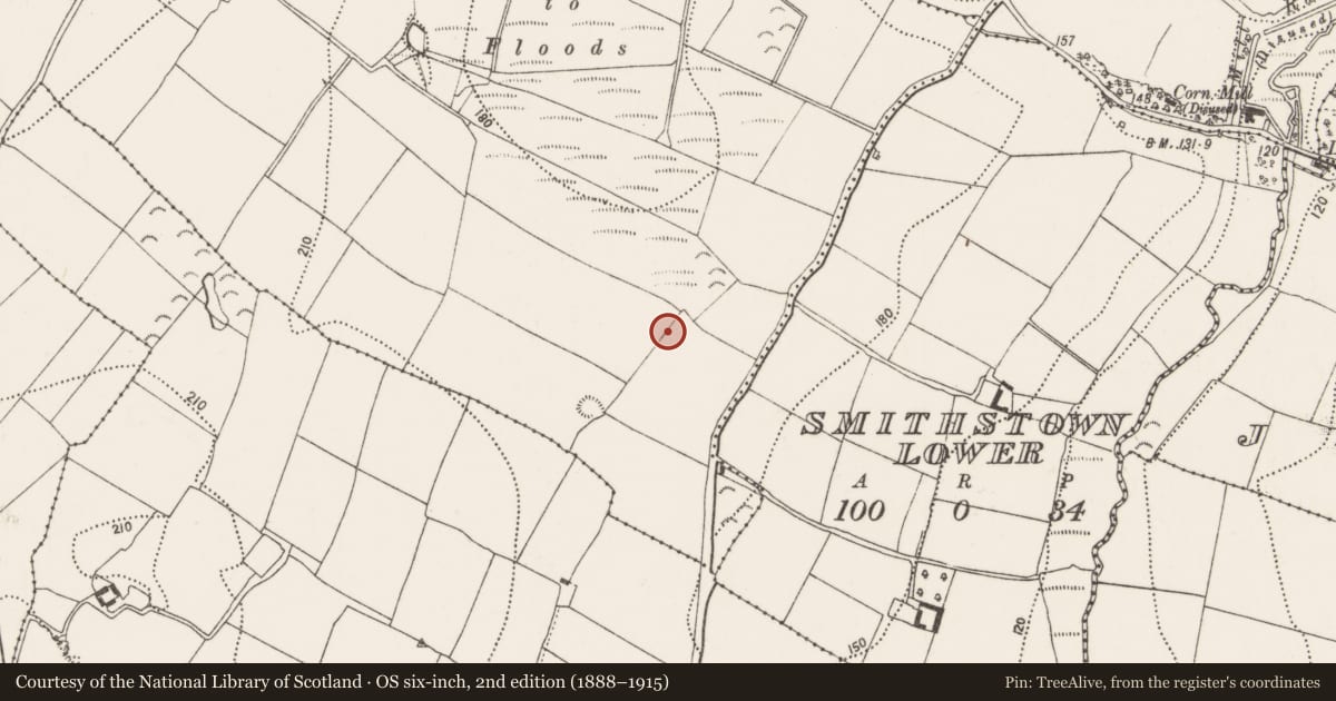 Ordnance Survey six-inch map, 2nd edition (1888–1915) covering the location of Ring-ditch, Smithstown Upper, County Kilkenny, with a pin at the register's coordinates