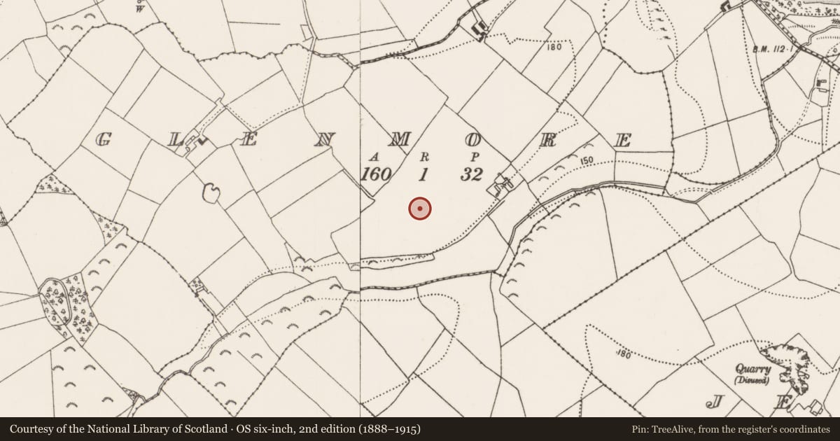 Ordnance Survey six-inch map, 2nd edition (1888–1915) covering the location of Enclosure, Glenmore, County Kilkenny, with a pin at the register's coordinates