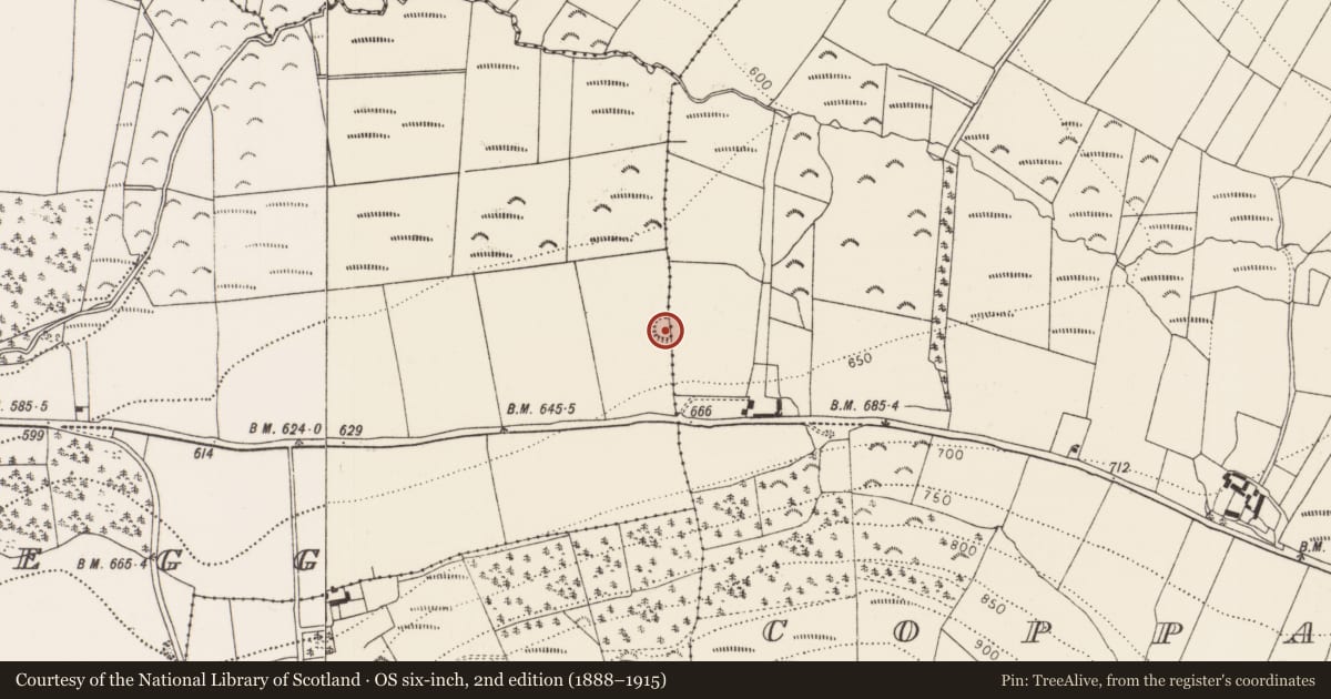 Ordnance Survey six-inch map, 2nd edition (1888–1915) covering the location of Enclosure, Cloghscregg, County Kilkenny, with a pin at the register's coordinates