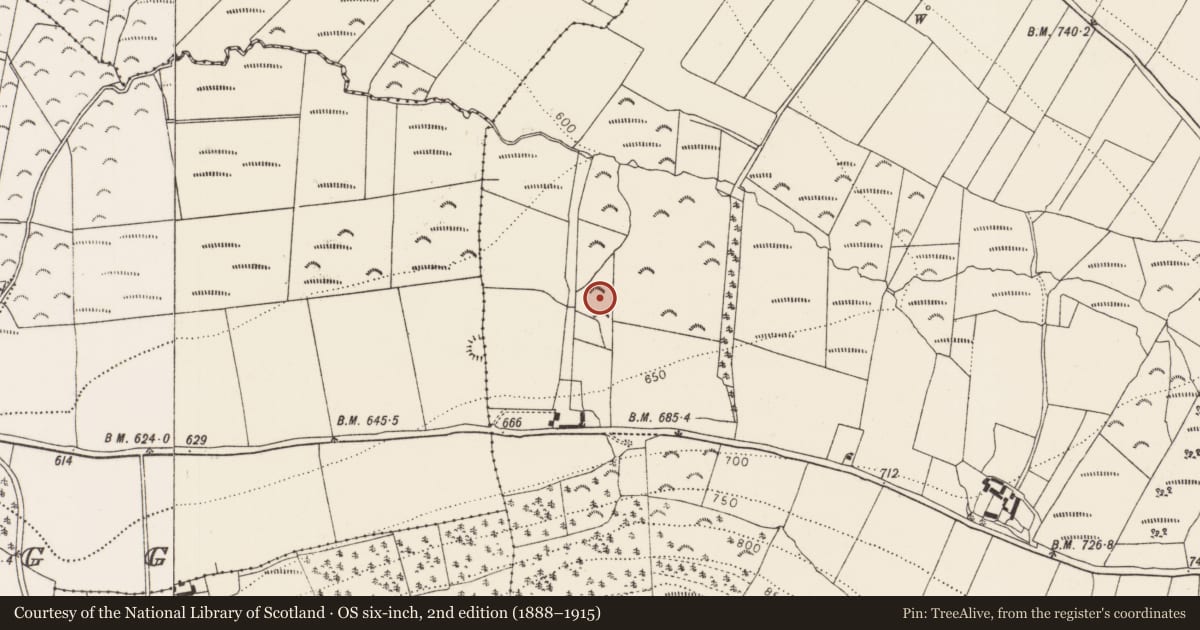 Ordnance Survey six-inch map, 2nd edition (1888–1915) covering the location of Enclosure, Coppanagh, County Kilkenny, with a pin at the register's coordinates