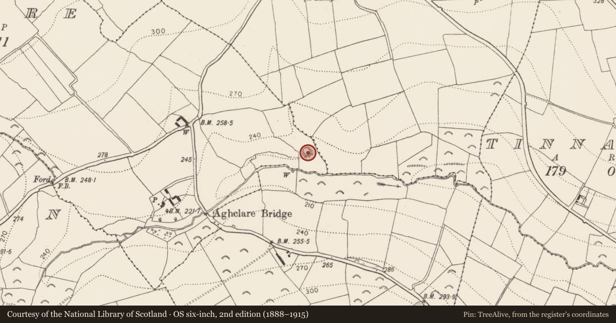 Ordnance Survey six-inch map, 2nd edition (1888–1915) covering the location of Castle - motte, Aghclare, County Kilkenny, with a pin at the register's coordinates