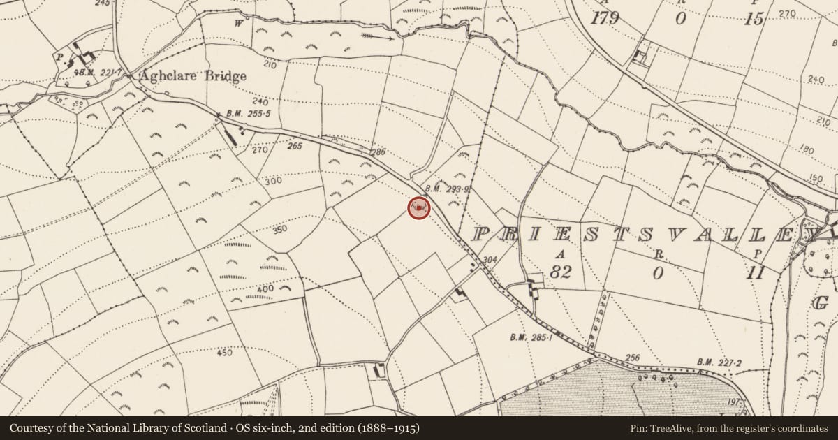 Ordnance Survey six-inch map, 2nd edition (1888–1915) covering the location of Enclosure, Coolroe, County Kilkenny, with a pin at the register's coordinates