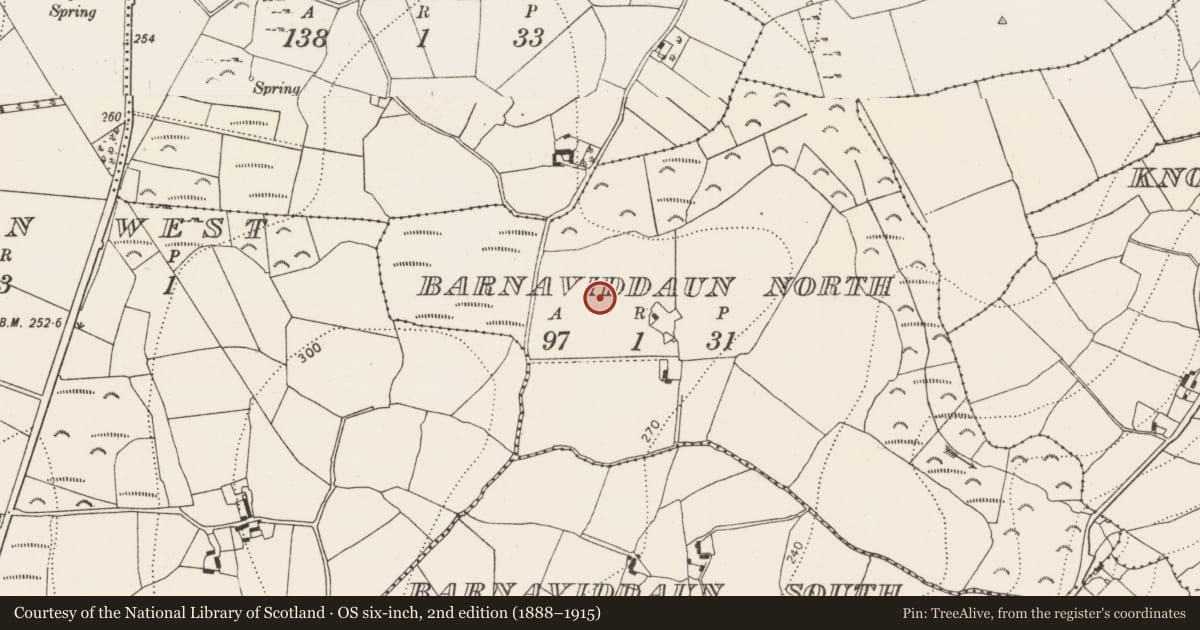Ordnance Survey six-inch map, 2nd edition (1888–1915) covering the location of Enclosure, Barnaviddaun North, County Kilkenny, with a pin at the register's coordinates