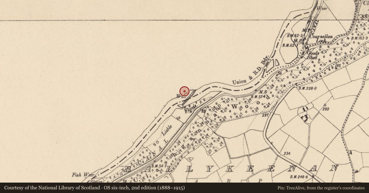 Ordnance Survey six-inch map, 2nd edition (1888–1915) covering the location of Castle - tower house, Cloghasty South, County Kilkenny, with a pin at the register's coordinates