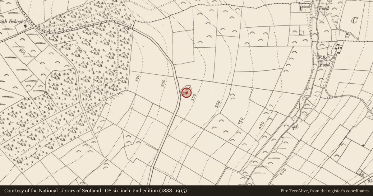 Ordnance Survey six-inch map, 2nd edition (1888–1915) covering the location of Ringfort - rath, Raheendonore, County Kilkenny, with a pin at the register's coordinates