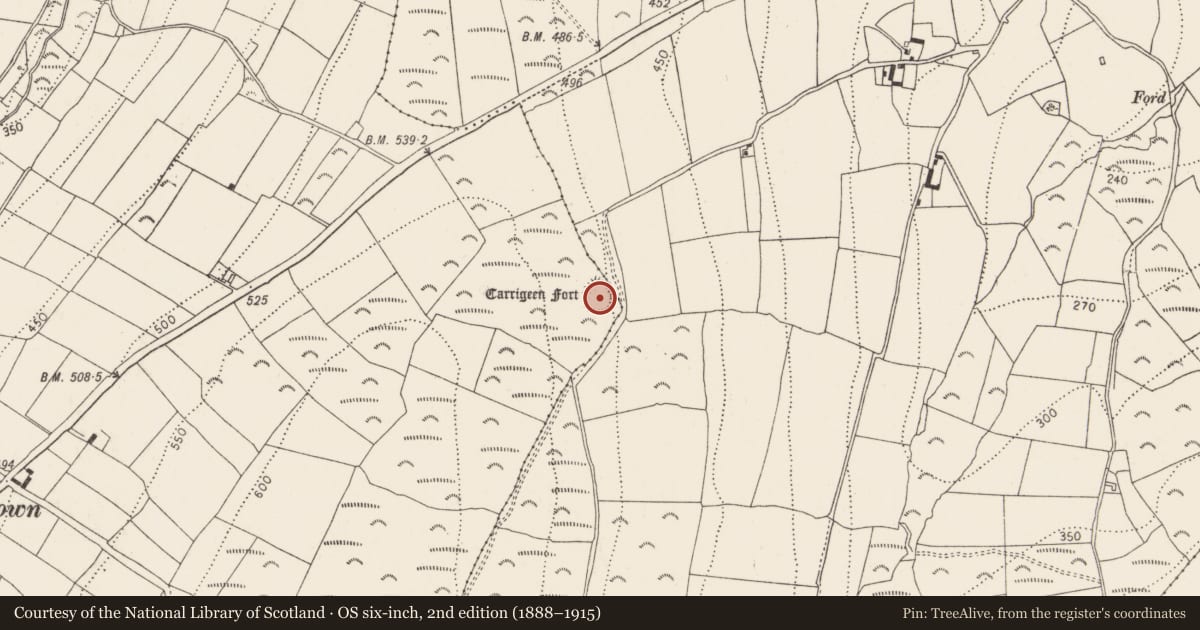 Ordnance Survey six-inch map, 2nd edition (1888–1915) covering the location of Ringfort - rath, Raheendonore, County Kilkenny, with a pin at the register's coordinates