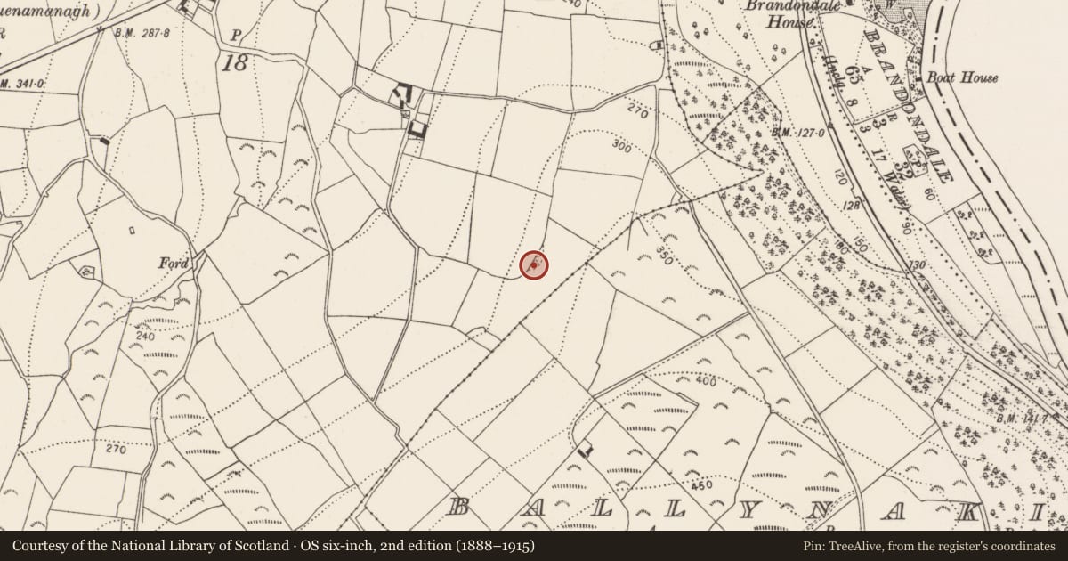 Ordnance Survey six-inch map, 2nd edition (1888–1915) covering the location of Burial ground, Coolroe, County Kilkenny, with a pin at the register's coordinates