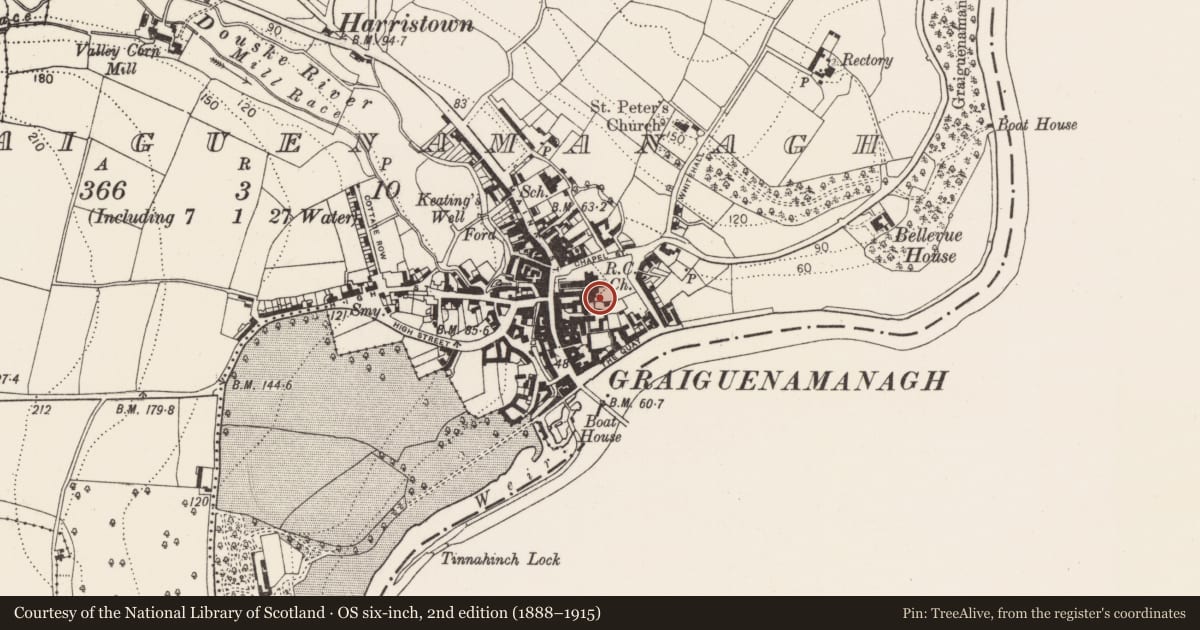 Ordnance Survey six-inch map, 2nd edition (1888–1915) covering the location of Cross - High cross (present location), Graiguenamanagh, County Kilkenny, with a pin at the register's coordinates