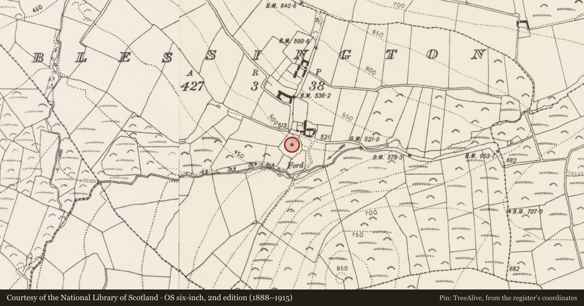 Ordnance Survey six-inch map, 2nd edition (1888–1915) covering the location of Enclosure, Blessington, County Kilkenny, with a pin at the register's coordinates