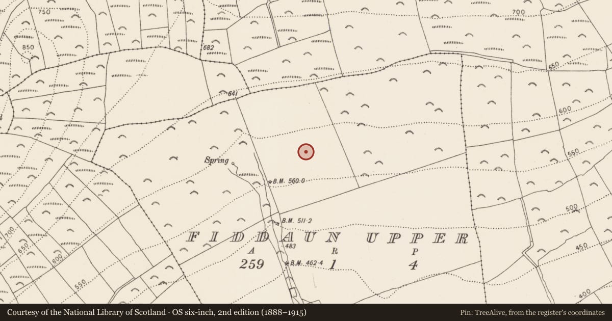 Ordnance Survey six-inch map, 2nd edition (1888–1915) covering the location of Ogham stone, Fiddaun Upper, County Kilkenny, with a pin at the register's coordinates