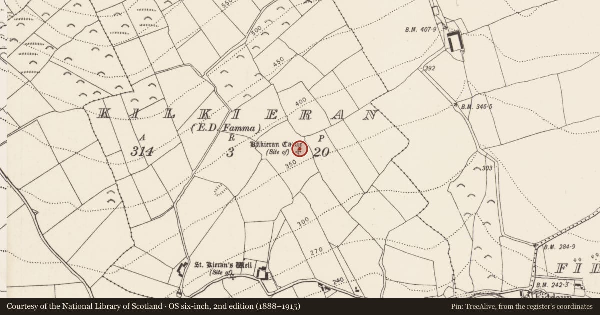 Ordnance Survey six-inch map, 2nd edition (1888–1915) covering the location of Castle - unclassified, Kilkieran, County Kilkenny, with a pin at the register's coordinates