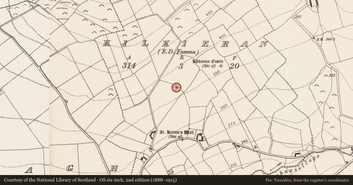 Ordnance Survey six-inch map, 2nd edition (1888–1915) covering the location of Moated site, Kilkieran, County Kilkenny, with a pin at the register's coordinates