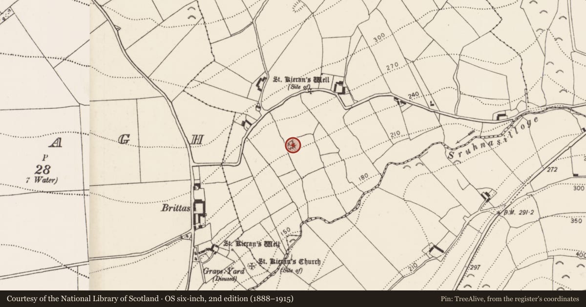 Ordnance Survey six-inch map, 2nd edition (1888–1915) covering the location of Moated site, Kilkieran, County Kilkenny, with a pin at the register's coordinates
