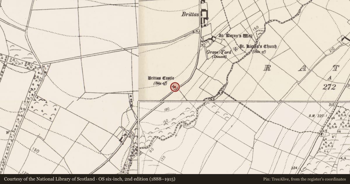 Ordnance Survey six-inch map, 2nd edition (1888–1915) covering the location of Castle - unclassified, Carrigeen, County Kilkenny, with a pin at the register's coordinates