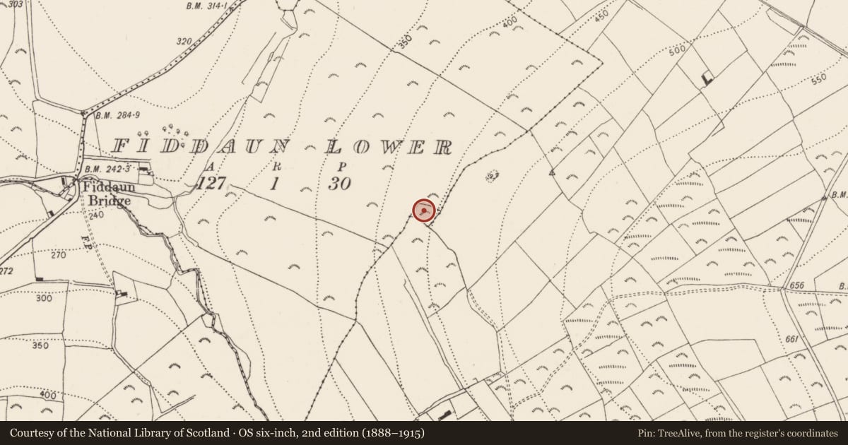 Ordnance Survey six-inch map, 2nd edition (1888–1915) covering the location of Moated site, Fiddaun Lower, County Kilkenny, with a pin at the register's coordinates