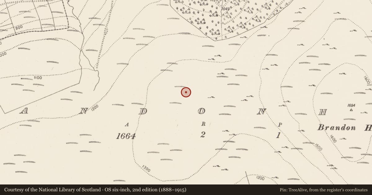 Ordnance Survey six-inch map, 2nd edition (1888–1915) covering the location of Hut site, Brandonhill, County Kilkenny, with a pin at the register's coordinates