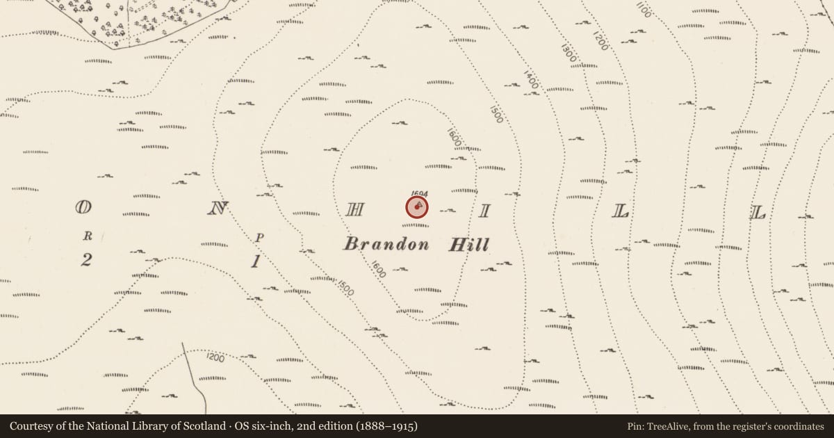 Ordnance Survey six-inch map, 2nd edition (1888–1915) covering the location of Cairn - unclassified, Brandonhill, County Kilkenny, with a pin at the register's coordinates