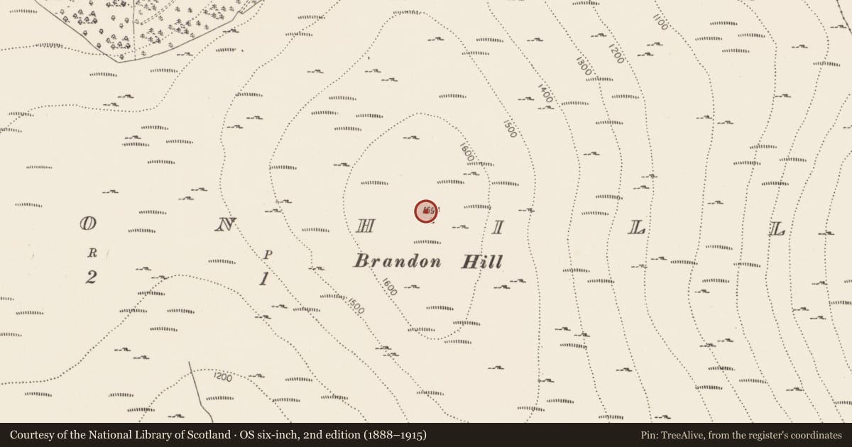 Ordnance Survey six-inch map, 2nd edition (1888–1915) covering the location of Enclosure, Brandonhill, County Kilkenny, with a pin at the register's coordinates
