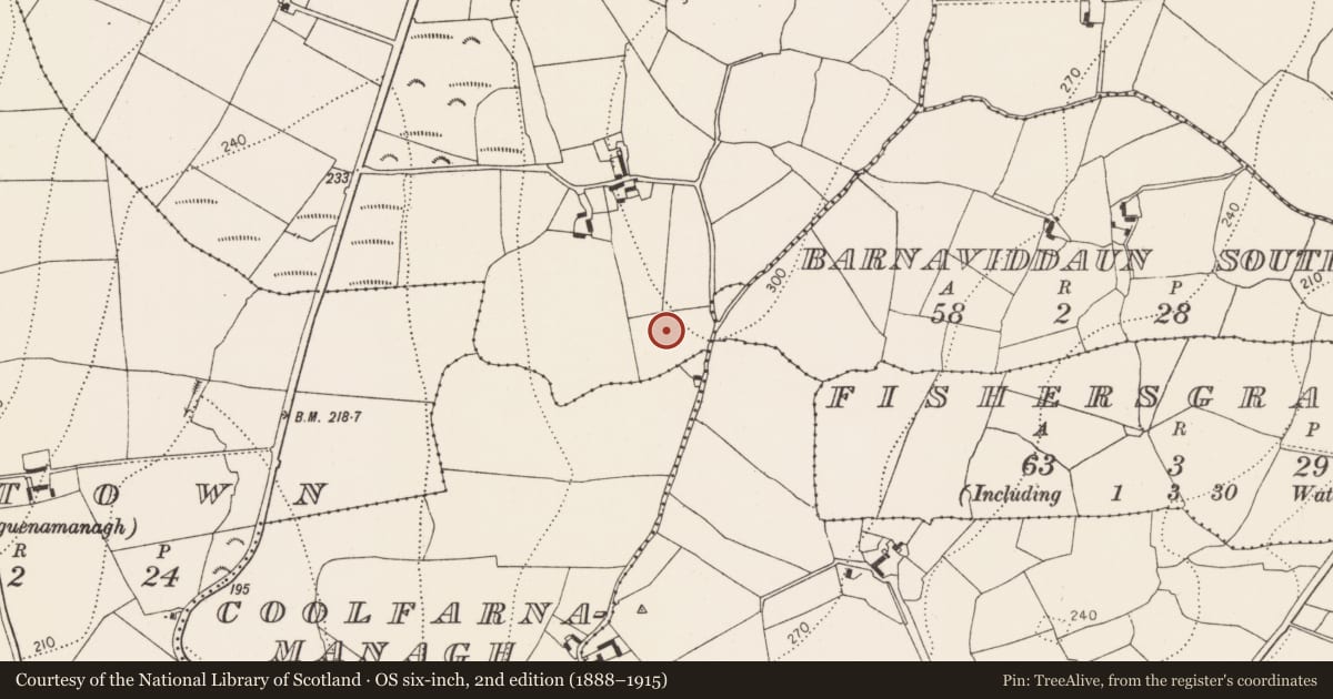 Ordnance Survey six-inch map, 2nd edition (1888–1915) covering the location of Burial ground, Killeen West, County Kilkenny, with a pin at the register's coordinates