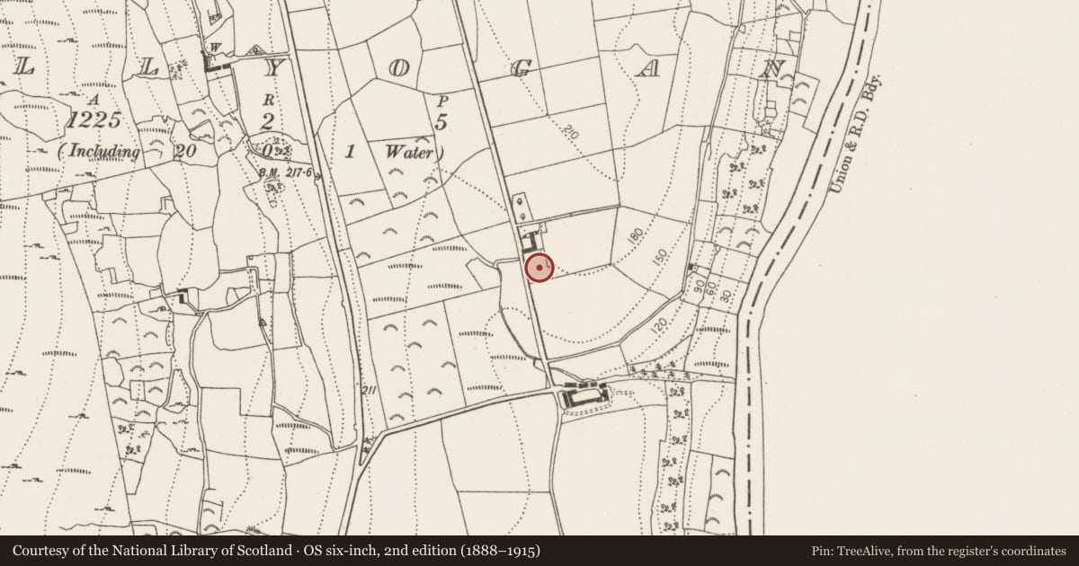 Ordnance Survey six-inch map, 2nd edition (1888–1915) covering the location of Church, Ballyogan, County Kilkenny, with a pin at the register's coordinates