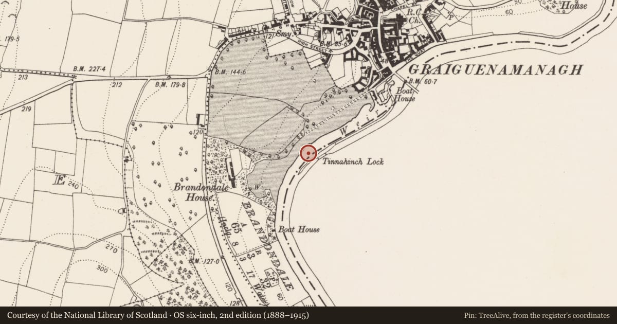 Ordnance Survey six-inch map, 2nd edition (1888–1915) covering the location of Bridge, Brandondale, County Kilkenny, with a pin at the register's coordinates