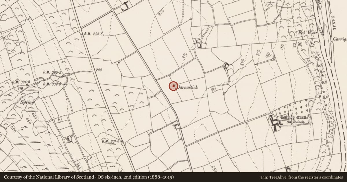 Ordnance Survey six-inch map, 2nd edition (1888–1915) covering the location of Standing stone, Ballyogan, County Kilkenny, with a pin at the register's coordinates