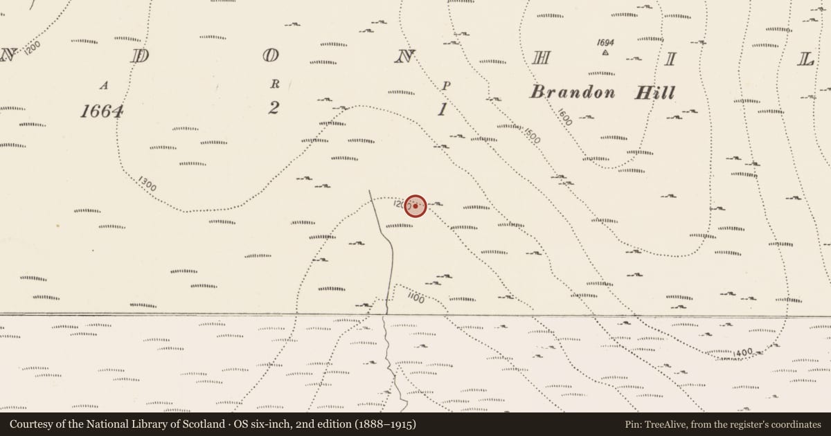 Ordnance Survey six-inch map, 2nd edition (1888–1915) covering the location of Structure, Brandonhill, County Kilkenny, with a pin at the register's coordinates