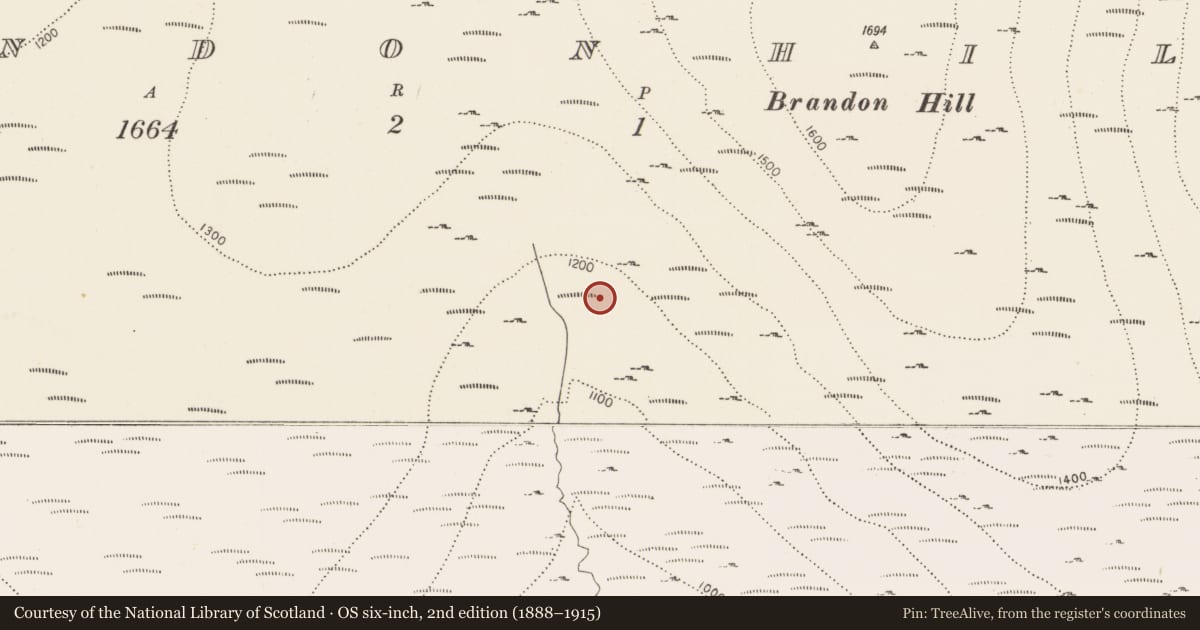Ordnance Survey six-inch map, 2nd edition (1888–1915) covering the location of Enclosure, Brandonhill, County Kilkenny, with a pin at the register's coordinates