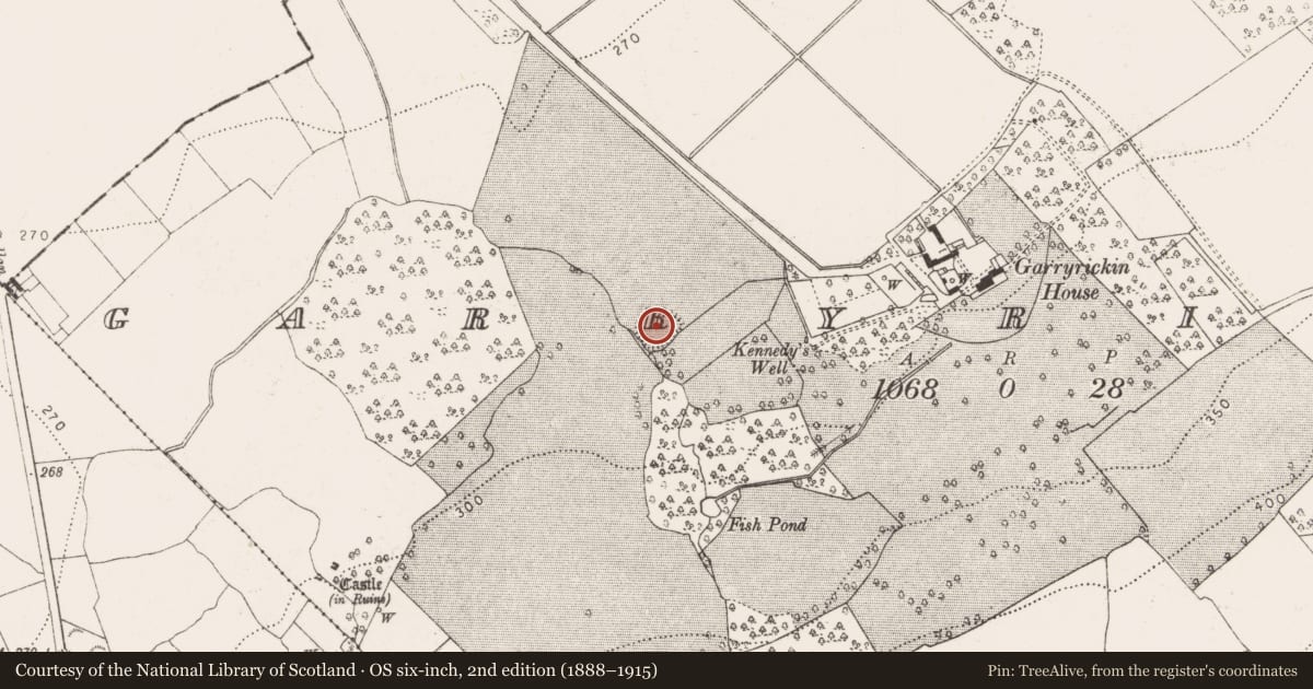 Ordnance Survey six-inch map, 2nd edition (1888–1915) covering the location of Ringfort - rath, Garryrickin, County Kilkenny, with a pin at the register's coordinates