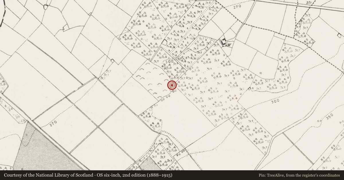 Ordnance Survey six-inch map, 2nd edition (1888–1915) covering the location of Ringfort - rath, Garryrickin, County Kilkenny, with a pin at the register's coordinates