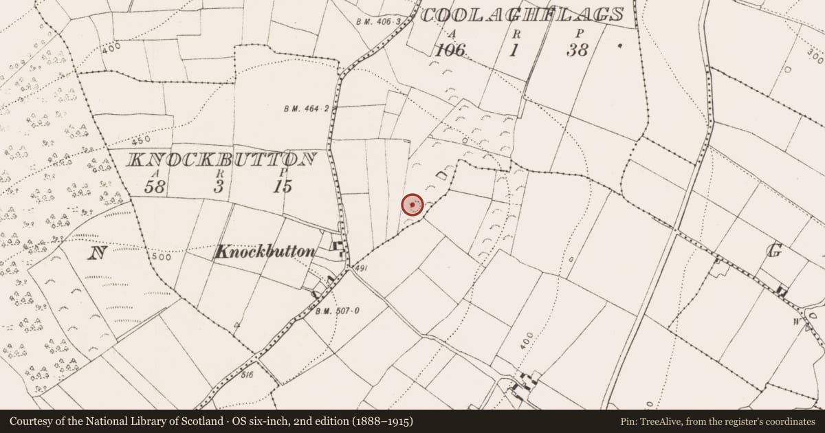 Ordnance Survey six-inch map, 2nd edition (1888–1915) covering the location of Ringfort - unclassified, Coolaghflags, County Kilkenny, with a pin at the register's coordinates