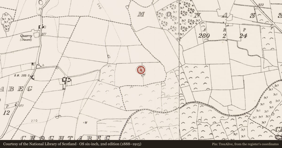 Ordnance Survey six-inch map, 2nd edition (1888–1915) covering the location of Enclosure, Croghtabeg (Courtown), County Kilkenny, with a pin at the register's coordinates