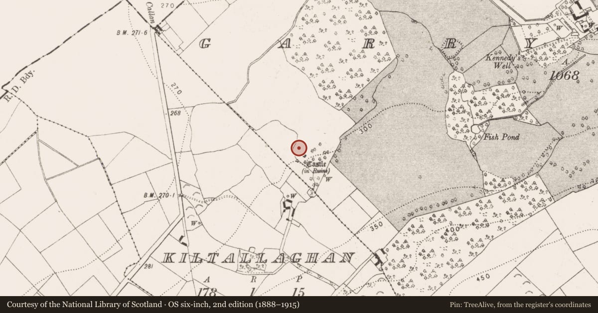 Ordnance Survey six-inch map, 2nd edition (1888–1915) covering the location of Bawn, Garryrickin, County Kilkenny, with a pin at the register's coordinates