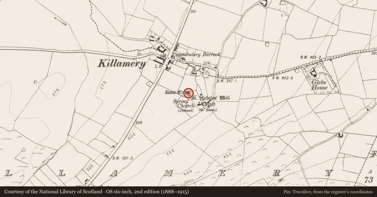 Ordnance Survey six-inch map, 2nd edition (1888–1915) covering the location of Cross - High cross, Killamery, County Kilkenny, with a pin at the register's coordinates