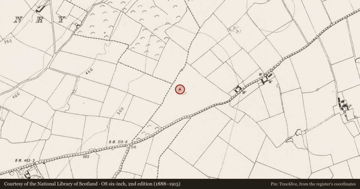 Ordnance Survey six-inch map, 2nd edition (1888–1915) covering the location of Souterrain, Garryrickin, County Kilkenny, with a pin at the register's coordinates