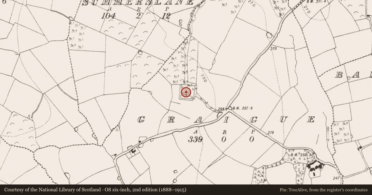 Ordnance Survey six-inch map, 2nd edition (1888–1915) covering the location of Moated site, Graigue, County Kilkenny, with a pin at the register's coordinates