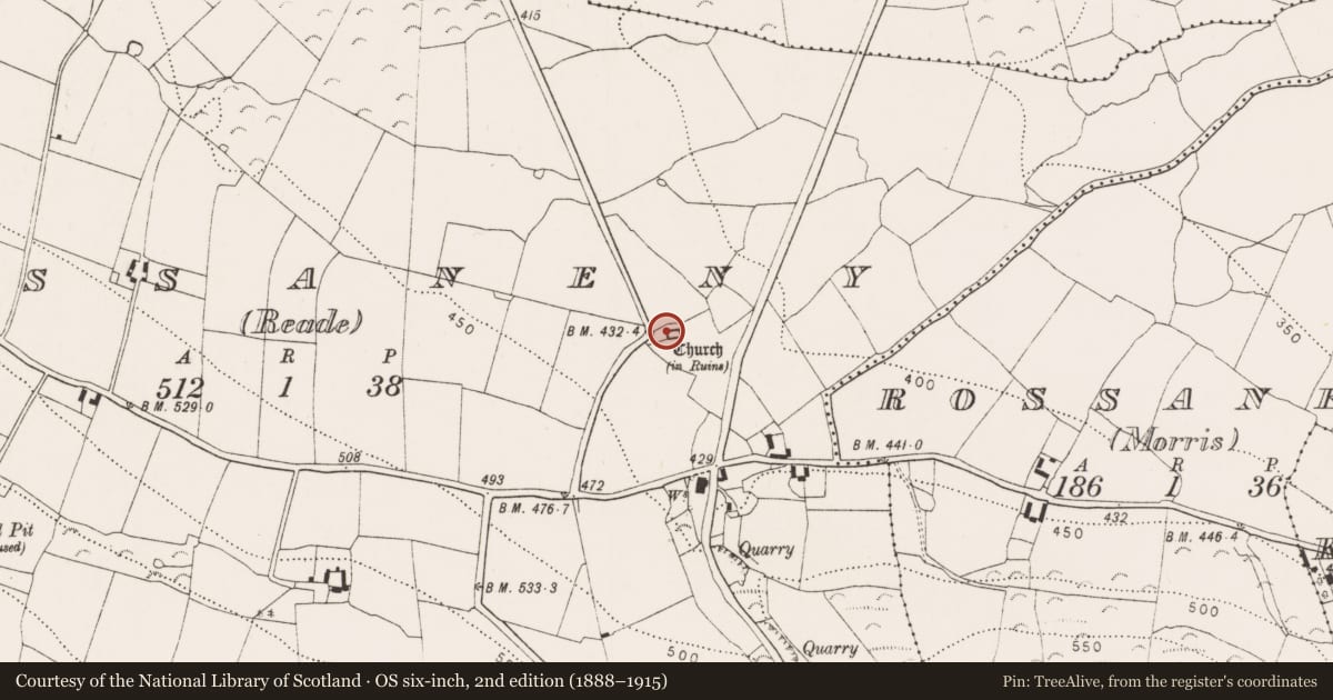 Ordnance Survey six-inch map, 2nd edition (1888–1915) covering the location of Church, Rossaneny (Reade), County Kilkenny, with a pin at the register's coordinates