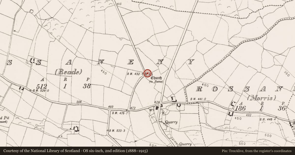Ordnance Survey six-inch map, 2nd edition (1888–1915) covering the location of Graveyard, Rossaneny (Reade), County Kilkenny, with a pin at the register's coordinates