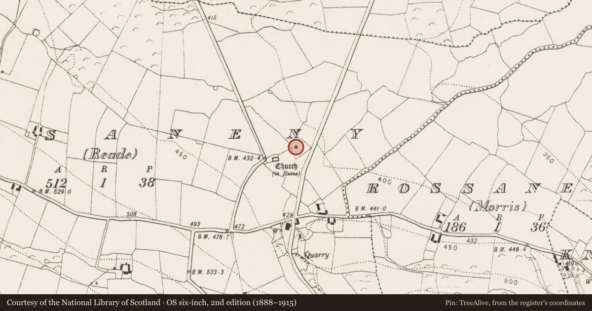 Ordnance Survey six-inch map, 2nd edition (1888–1915) covering the location of Moated site, Rossaneny (Reade), County Kilkenny, with a pin at the register's coordinates